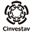 Cinvestav
