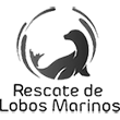 Rescate de Lobos Marinos