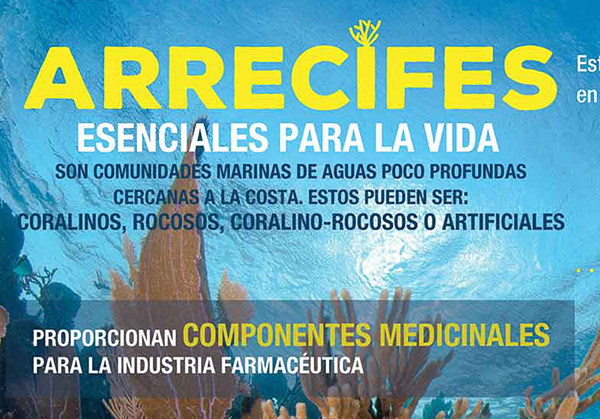 KualiComunicación