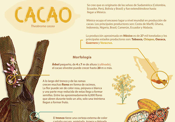 KualiComunicación