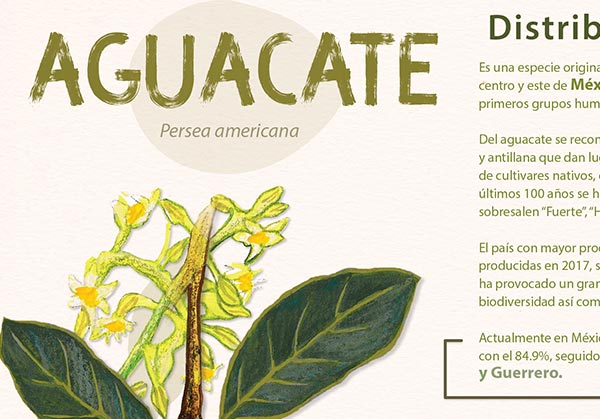 KualiComunicación